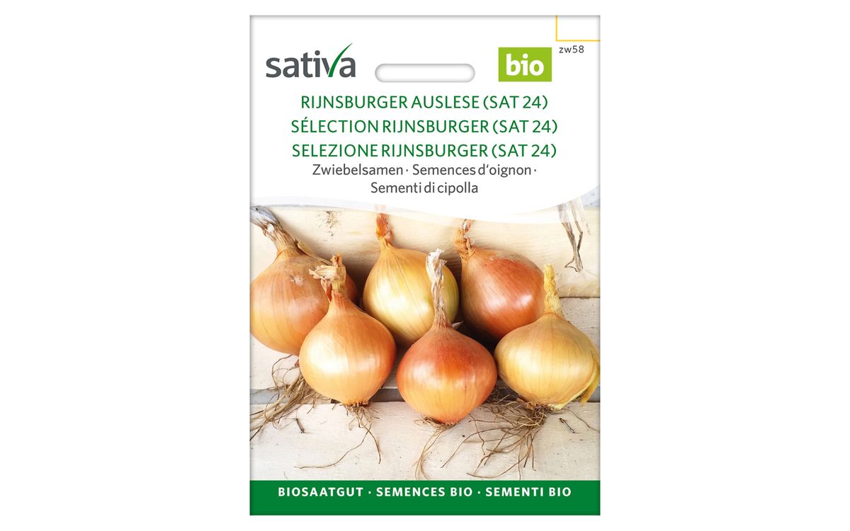 Rijnsburger Auslese 