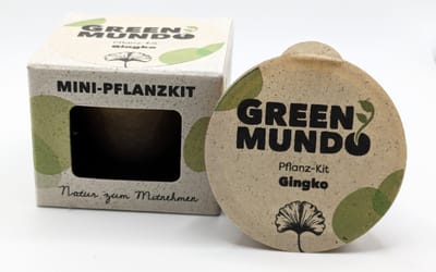 Pflanz-Kit Ginkgo-Baum