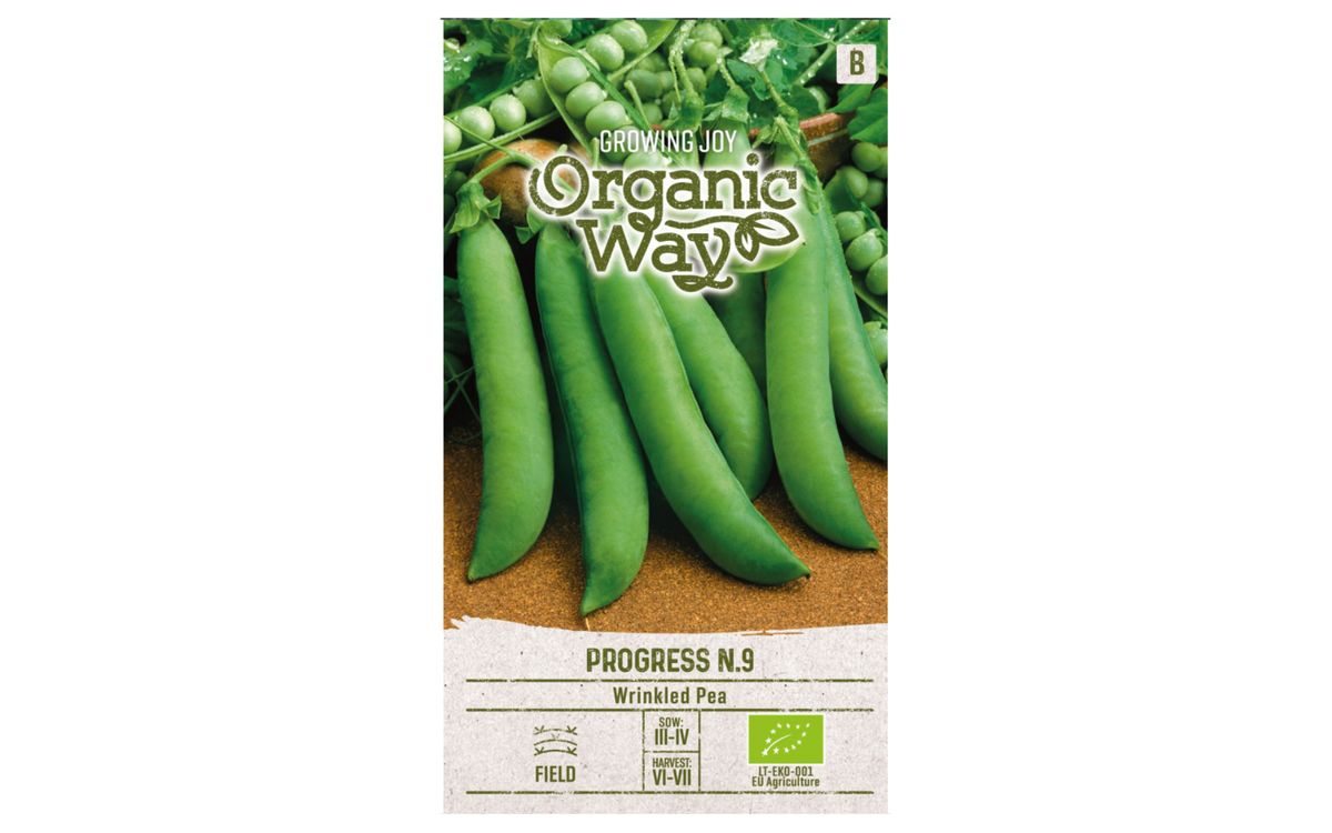 Wrinkled Progress N.9