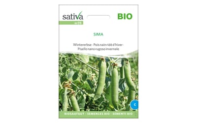 Wintererbse Sima