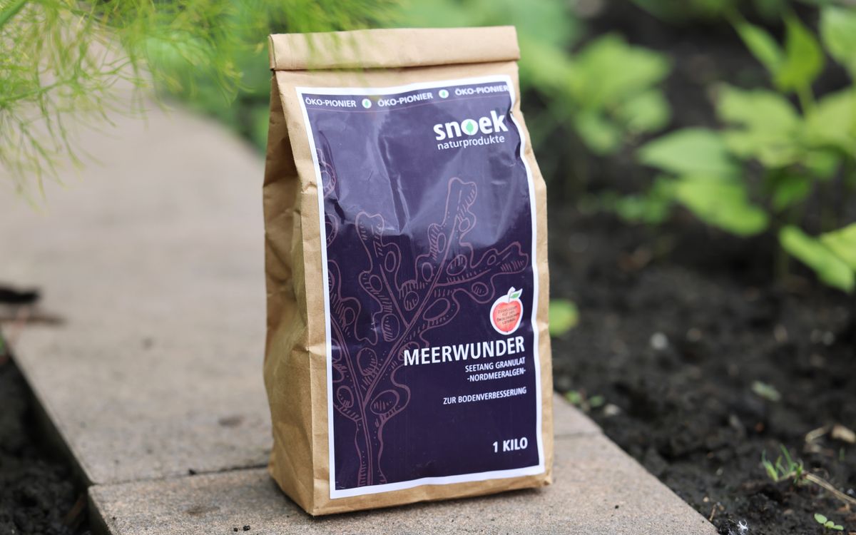 Meerwunder Seetang Granulat
