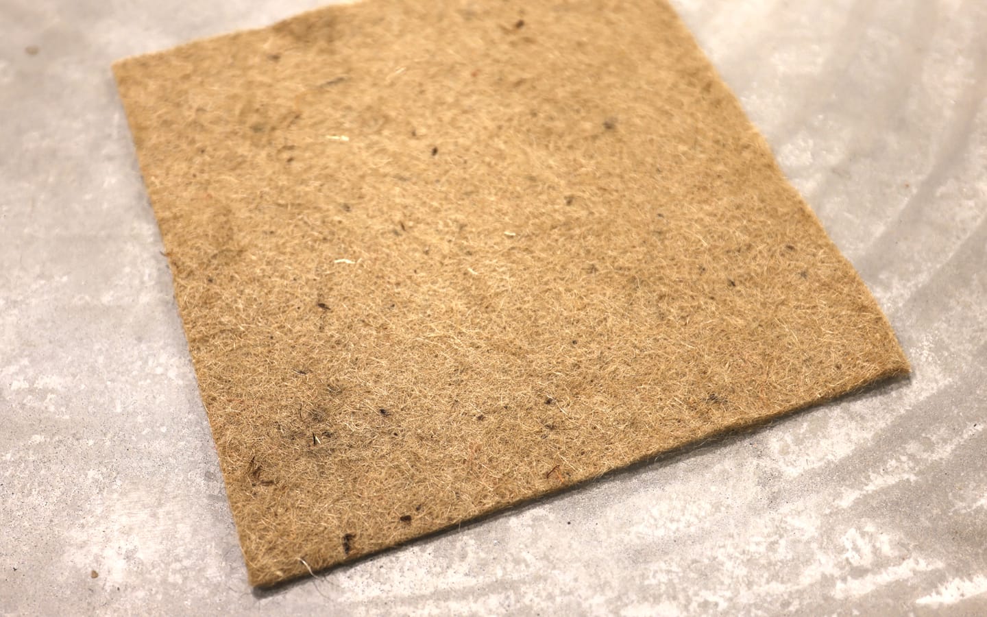 Jutematte für Keimschalen Borago