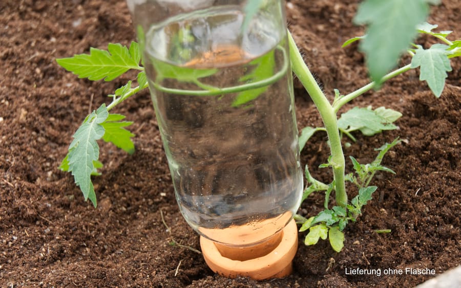 pflanzen bewässerung ton