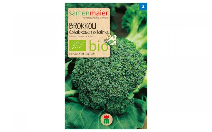 CHOU BROCOLI VERT CALABRESE NATALINO AB